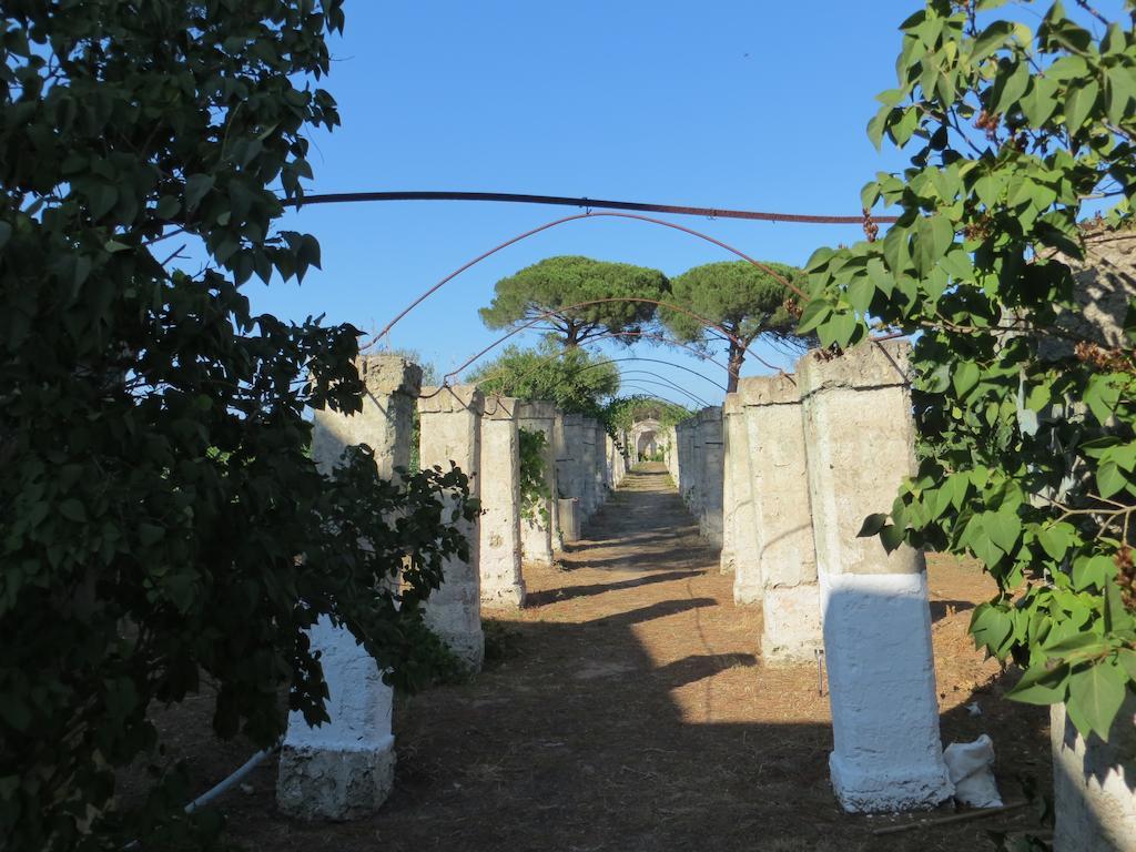 Agriturismo Occhineri Porto Cesareo Exterior foto
