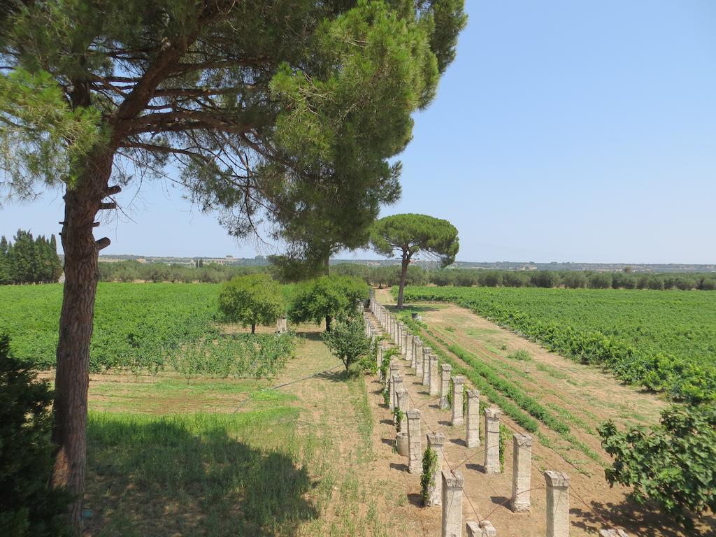 Agriturismo Occhineri Porto Cesareo Exterior foto